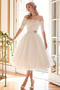 Vestito da nozze Tulle Elegante Autunno Vita naturale A-line Pick-up - Pagina 1