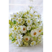Il bouquet di fiori di tè verde e bianco Le spose coreane hanno sposato la simulazione